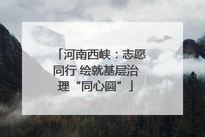 河南西峡：志愿同行 绘就基层治理“同心圆”
