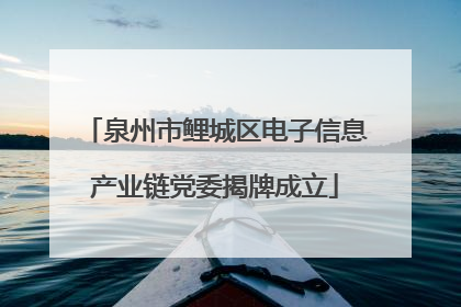 泉州市鲤城区电子信息产业链党委揭牌成立