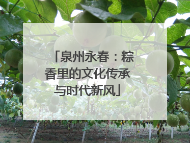 泉州永春：粽香里的文化传承与时代新风