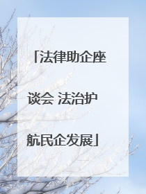 法律助企座谈会 法治护航民企发展