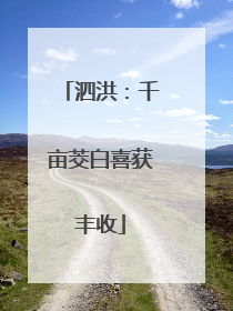 泗洪：千亩茭白喜获丰收