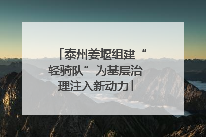 泰州姜堰组建“轻骑队”为基层治理注入新动力