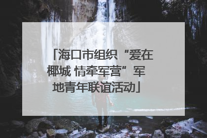 海口市组织“爱在椰城 情牵军营”军地青年联谊活动