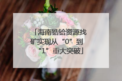 海南锆铪资源找矿实现从“0”到“1”重大突破