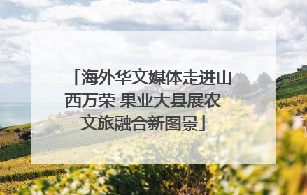海外华文媒体走进山西万荣 果业大县展农文旅融合新图景