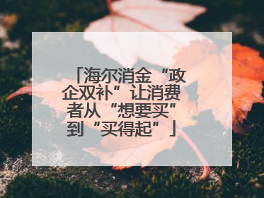 海尔消金“政企双补”让消费者从“想要买”到“买得起”