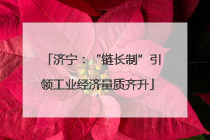 济宁：“链长制”引领工业经济量质齐升