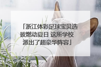 浙江体彩足球宝贝选拔燃动夏日 这所学校派出了超豪华阵容