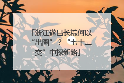 浙江遂昌长粽何以“出圈”？“七十二变”中探新路