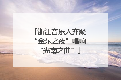浙江音乐人齐聚“金东之夜”唱响“光南之曲”