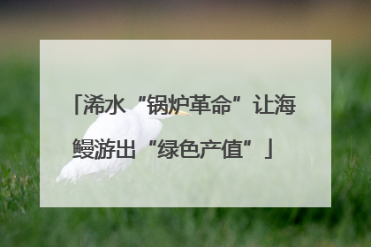 浠水“锅炉革命”让海鳗游出“绿色产值”