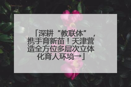 深耕“教联体”，携手育新苗！天津营造全方位多层次立体化育人环境→