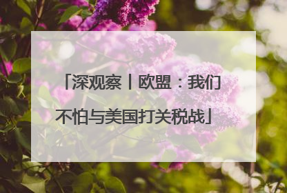 深观察丨欧盟：我们不怕与美国打关税战