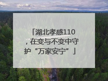 湖北孝感110，在变与不变中守护“万家安宁”