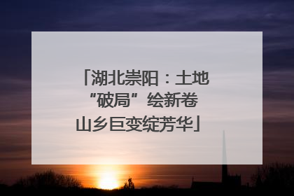 湖北崇阳：土地“破局”绘新卷 山乡巨变绽芳华