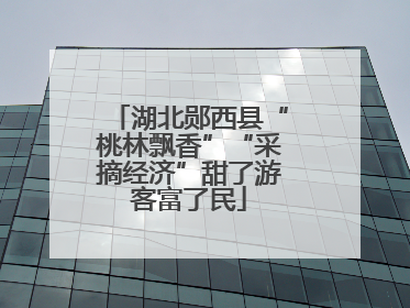 湖北郧西县“桃林飘香”“采摘经济”甜了游客富了民