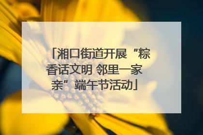 湘口街道开展“粽香话文明 邻里一家亲”端午节活动