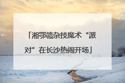 湘鄂赣杂技魔术“派对”在长沙热闹开场