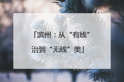 滨州：从“有线”治到“无线”美