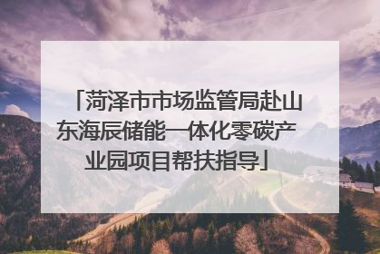 菏泽市市场监管局赴山东海辰储能一体化零碳产业园项目帮扶指导