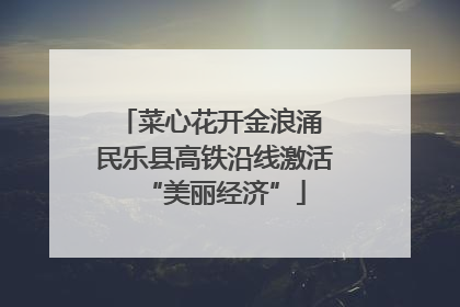 菜心花开金浪涌 民乐县高铁沿线激活“美丽经济”