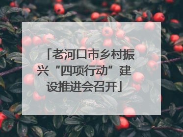 老河口市乡村振兴“四项行动”建设推进会召开
