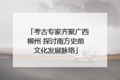 考古专家齐聚广西柳州 探讨南方史前文化发展脉络