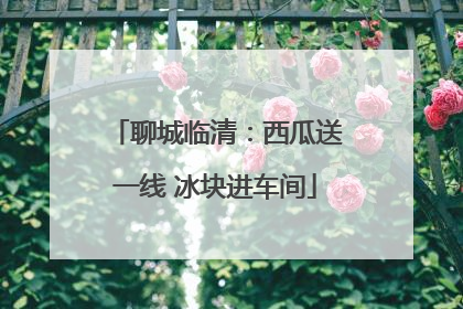 聊城临清：西瓜送一线 冰块进车间