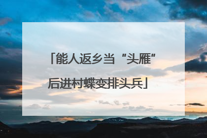 能人返乡当“头雁” 后进村蝶变排头兵