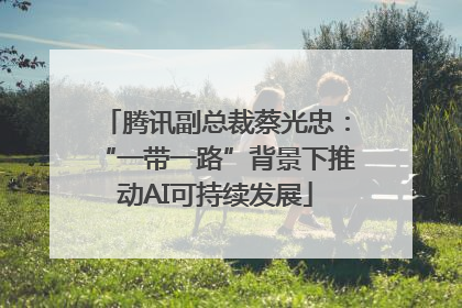 腾讯副总裁蔡光忠：“一带一路”背景下推动AI可持续发展