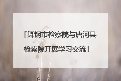 舞钢市检察院与唐河县检察院开展学习交流