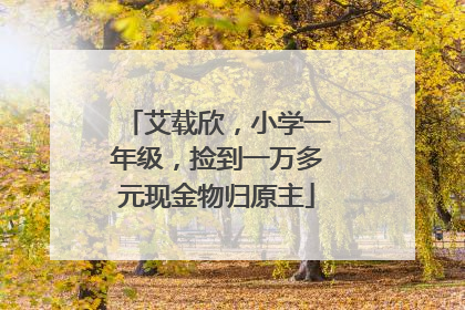 艾载欣，小学一年级，捡到一万多元现金物归原主