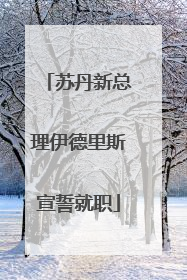 苏丹新总理伊德里斯宣誓就职