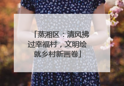 蒸湘区：清风拂过幸福村，文明绘就乡村新画卷