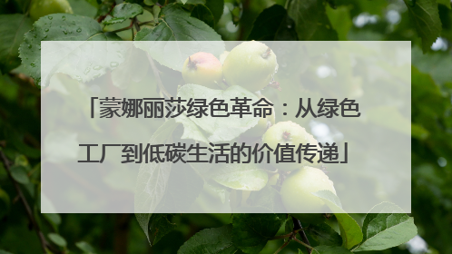 蒙娜丽莎绿色革命：从绿色工厂到低碳生活的价值传递