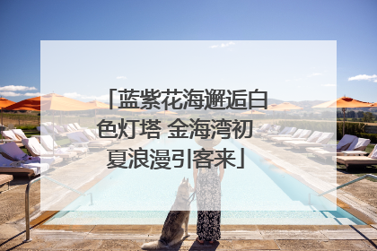 蓝紫花海邂逅白色灯塔 金海湾初夏浪漫引客来