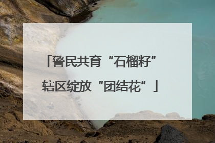 警民共育“石榴籽” 辖区绽放“团结花”