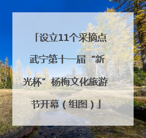 设立11个采摘点 武宁第十一届“新光杯”杨梅文化旅游节开幕（组图）