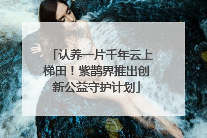 认养一片千年云上梯田！紫鹊界推出创新公益守护计划