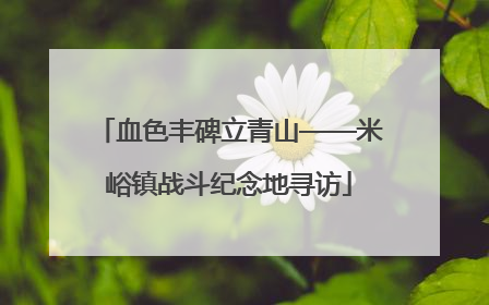 血色丰碑立青山——米峪镇战斗纪念地寻访