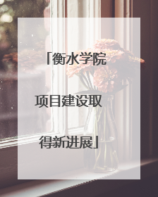 衡水学院项目建设取得新进展