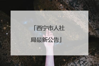西宁市人社局最新公告