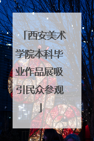 西安美术学院本科毕业作品展吸引民众参观