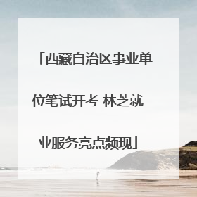 西藏自治区事业单位笔试开考 林芝就业服务亮点频现