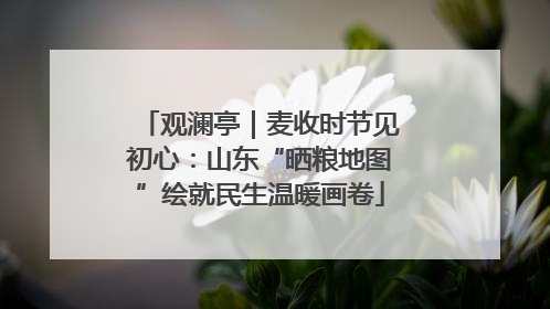 观澜亭｜麦收时节见初心：山东“晒粮地图”绘就民生温暖画卷