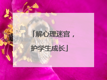 解心理迷宫，护学生成长