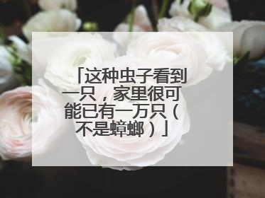 这种虫子看到一只，家里很可能已有一万只（不是蟑螂）