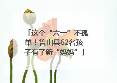 这个“六一”不孤单！鲁山县62名孩子有了新“妈妈”