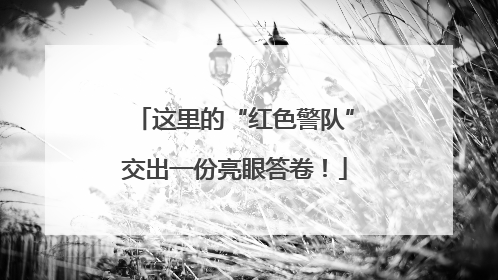 这里的“红色警队”交出一份亮眼答卷！