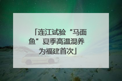 连江试验“马面鱼”夏季高温混养 为福建首次